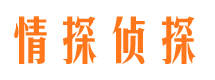 月湖外遇出轨调查取证